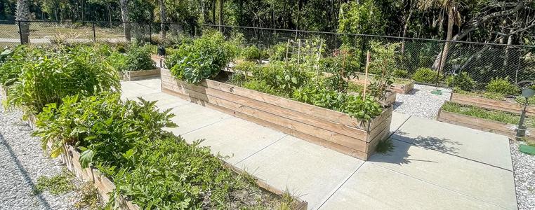 Centennial Park Community Garden