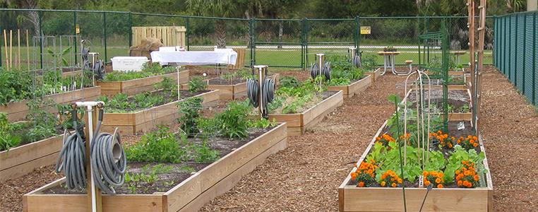 South County Regional Park Community Garden